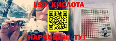 шишки Заволжье