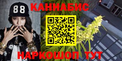 шишки Заволжье