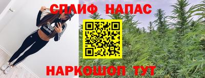 шишки Заволжье