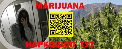 шишки Заволжье